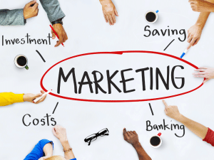 Clinic marketing manager reviewing KPI dashboard and ROI metrics — Learn how Salterra helps medical clinics track what matters and grow with smart, measurable strategies.